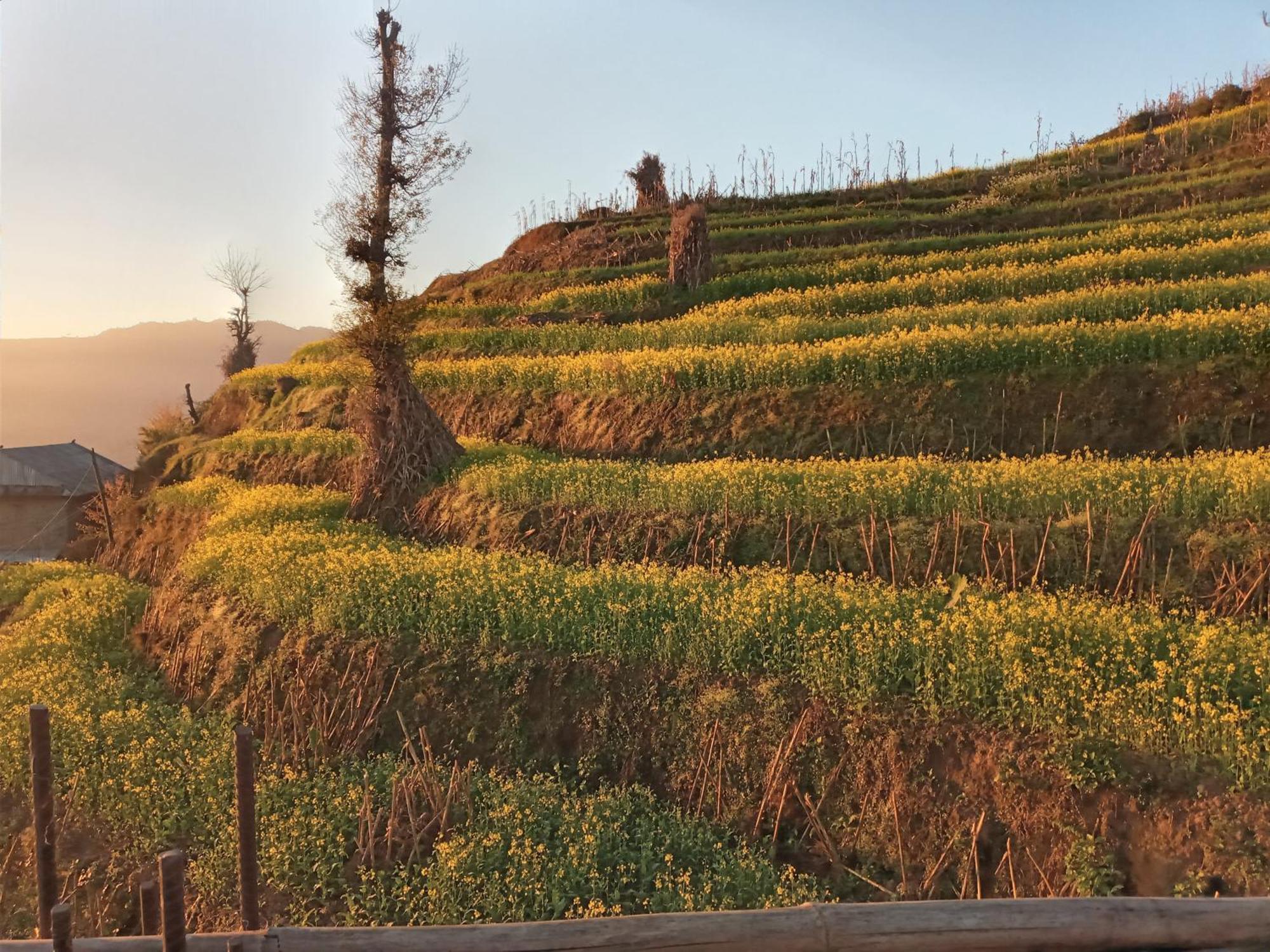 Unique Point Home Stay Nagarkot Exterior foto